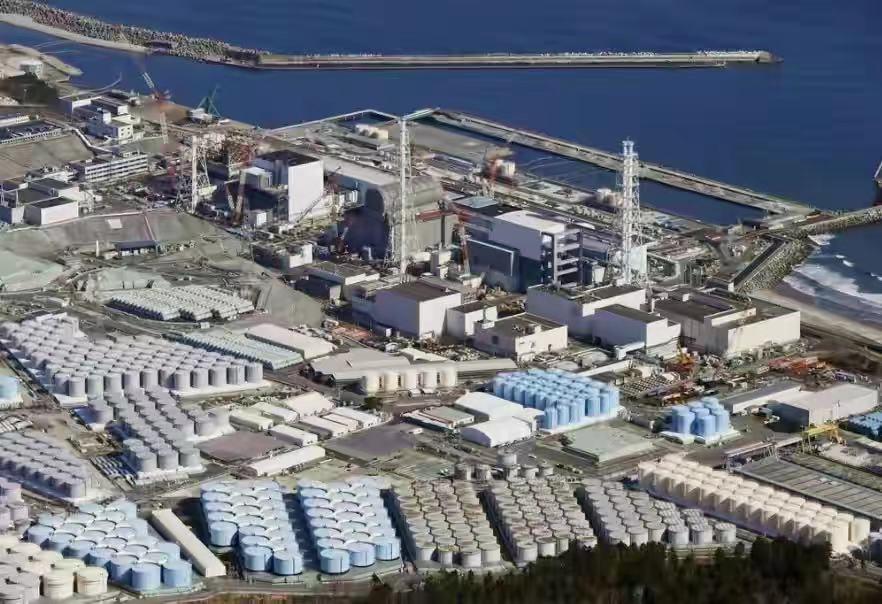 澳門今晚必開一肖81期，探索生肖運勢與預測的秘密，澳門生肖運勢揭秘，探索生肖預測與81期必開一肖的神秘面紗