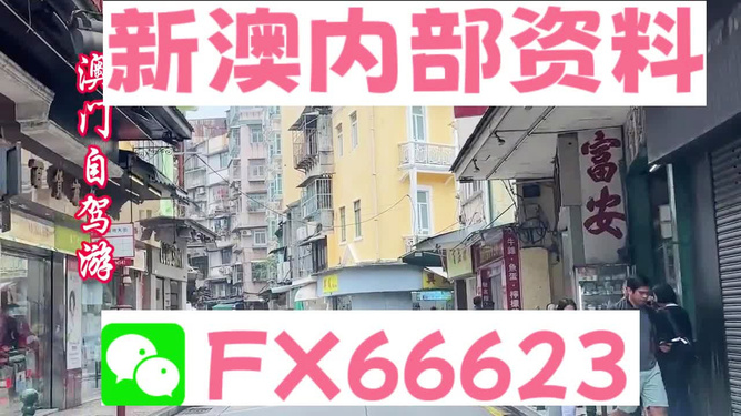 新澳精準(zhǔn)資料免費(fèi)提供，探索與解析，新澳精準(zhǔn)資料解析與探索，免費(fèi)提供的深度解讀