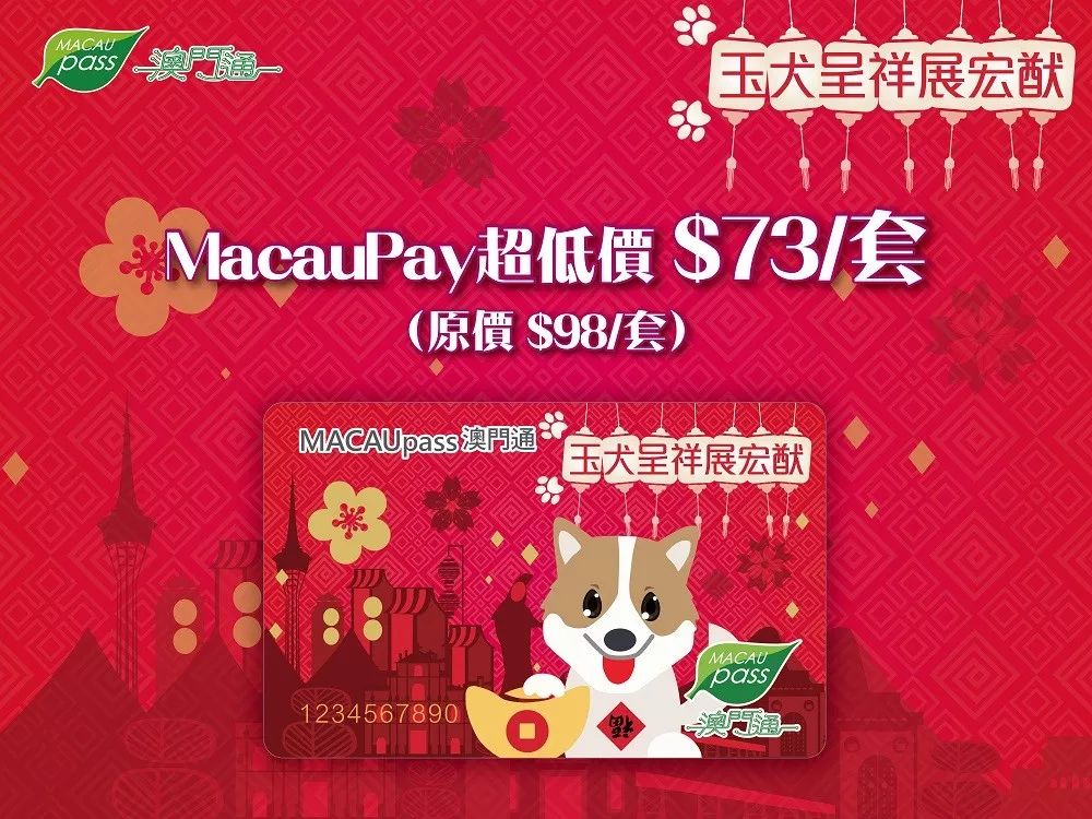 澳門生肖卡，探索未來的趨勢與機遇（2025年展望），澳門生肖卡，未來趨勢與機遇展望（2025年）