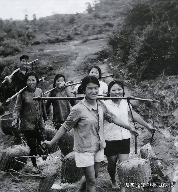 關(guān)于49圖庫圖片資料的專業(yè)解析與探索，49圖庫圖片資料深度解析與探索