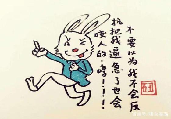一肖不中賠多少倍，深度解析與策略建議，一肖不中賠倍深度解析及策略建議