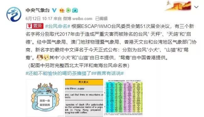 新澳門必中三肖三碼三期必開劉伯，揭秘彩票背后的秘密與策略，揭秘彩票背后的秘密與策略，劉伯的新澳門三期必開三肖三碼預(yù)測技巧