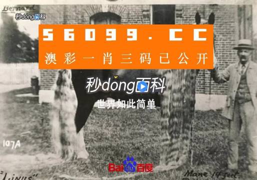 澳門王中王心水王中王，探索與解析，澳門王中王心水奧秘，深度探索與解析