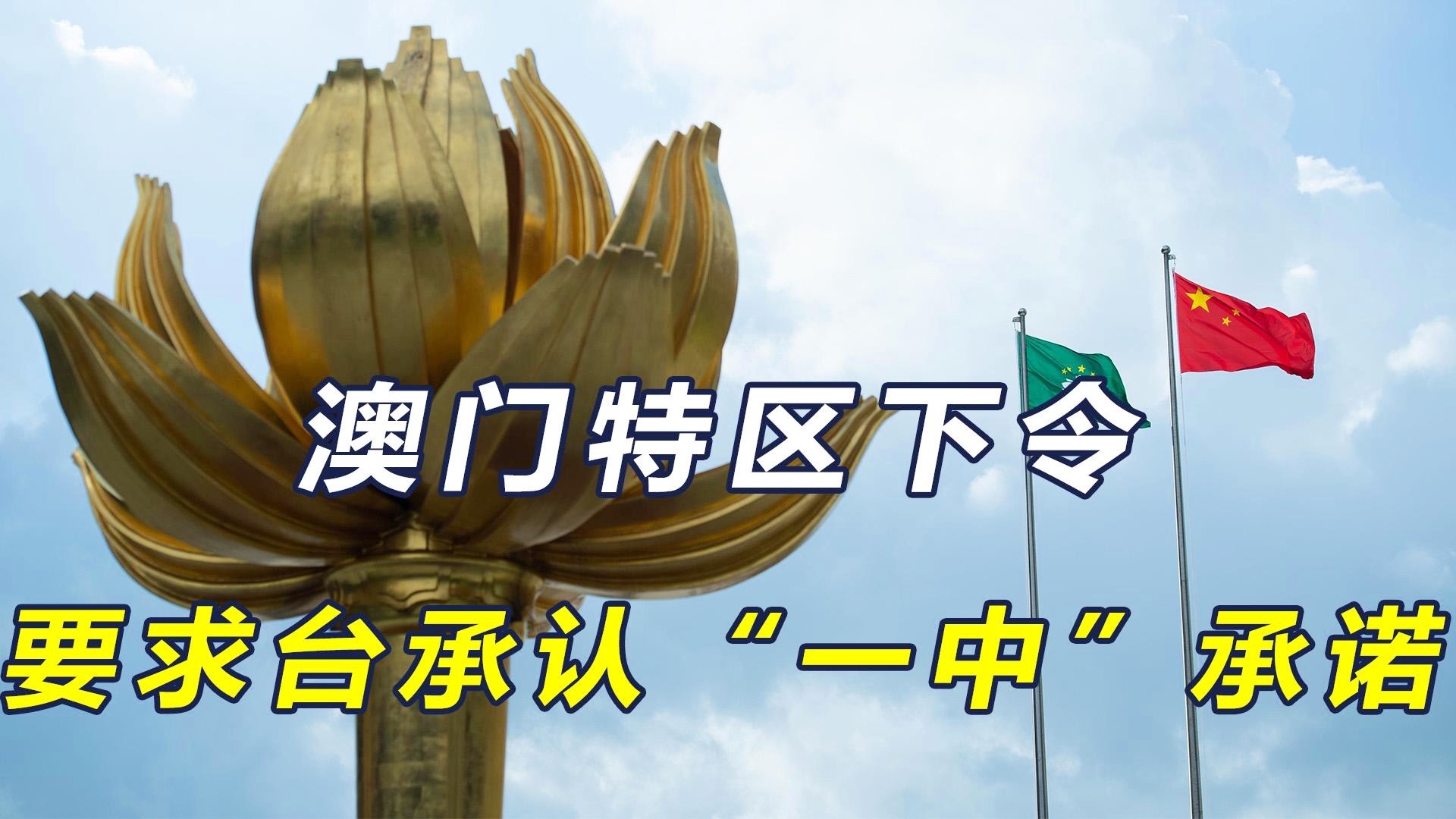 新澳門一碼一肖一特一中準(zhǔn)選今晚之秘與博彩文化深度解析，澳門博彩文化深度解析，今晚一碼一肖一特一中準(zhǔn)選的秘密