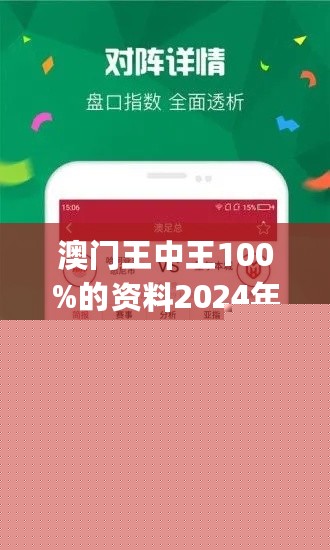 王中王網(wǎng)站一肖，探索與SEO優(yōu)化策略，王中王網(wǎng)站一肖，深度探索與SEO優(yōu)化策略實(shí)踐