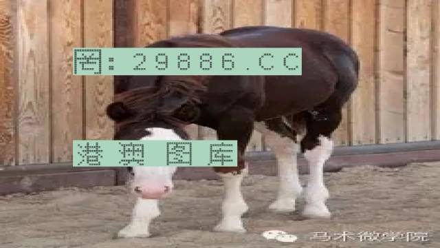 揭秘446999一肖中特馬之秘密，掌握中獎玄機！，揭秘特馬中獎玄機，446999一肖中的秘密大揭秘！