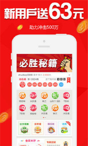 王中王欲錢請猜一肖，揭秘生肖之謎與SEO策略，揭秘生肖之謎與SEO策略，王中王欲錢請猜一肖的奧秘