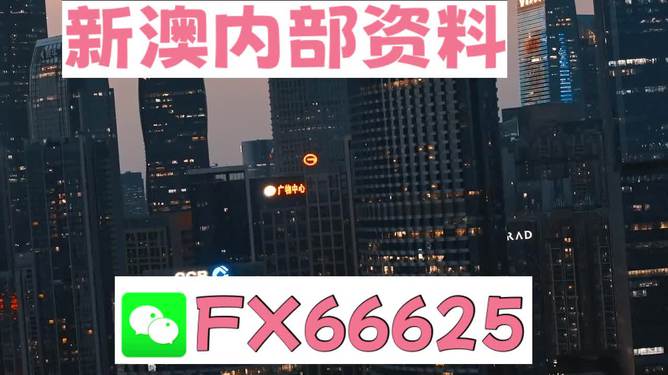 澳門跑狗，探索與解析，澳門跑狗，探索與解析之道