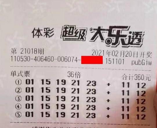 王中王018期指一生肖，揭秘背后的奧秘與意義，揭秘生肖奧秘，王中王生肖背后的意義與秘密