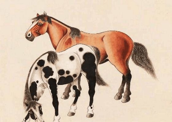 馬一王中王特平一肖圖，深度解析與SEO優(yōu)化策略，深度解析馬一王中王特平肖圖，SEO優(yōu)化策略探討