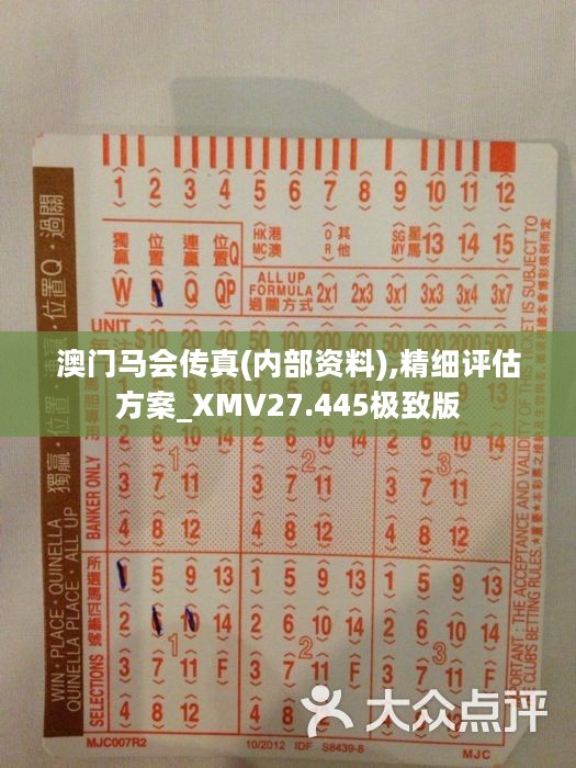 馬會傳真正版，探索正版馬會文化的魅力與價值，正版馬會文化的魅力與價值探索