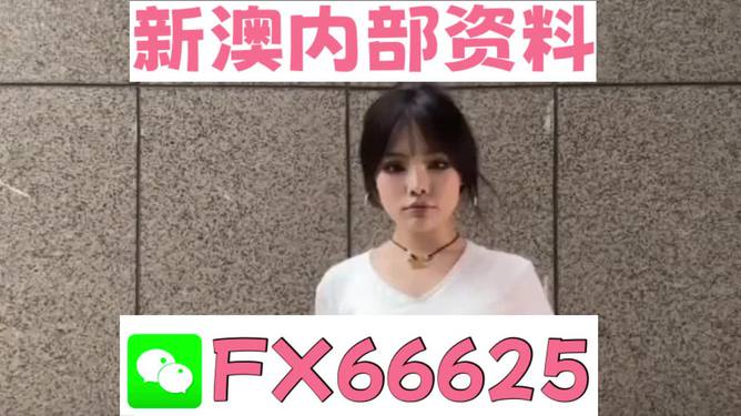 澳門(mén)正版資料大全完整版，探索與揭秘2025年澳門(mén)正版資料的世界，澳門(mén)正版資料大全揭秘，探索未來(lái)至2025年的奧秘世界