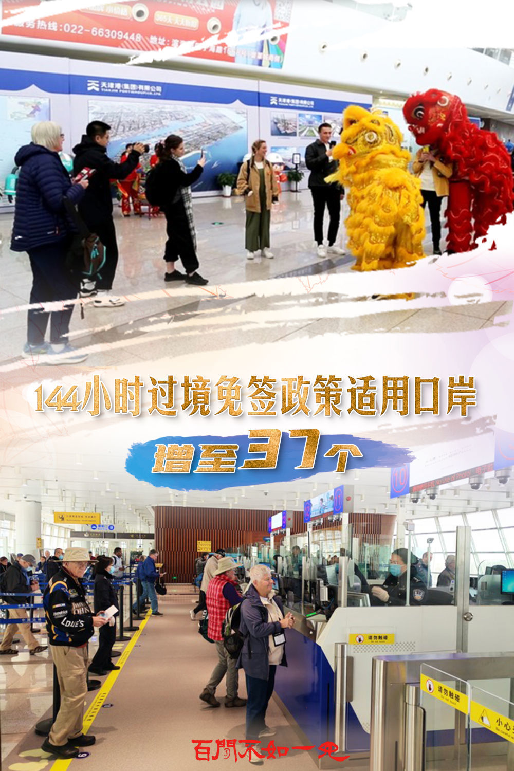 揭秘王中王，一碼一肖一特一中背后的故事，揭秘王中王背后的故事，一碼一肖一特一中傳奇揭秘