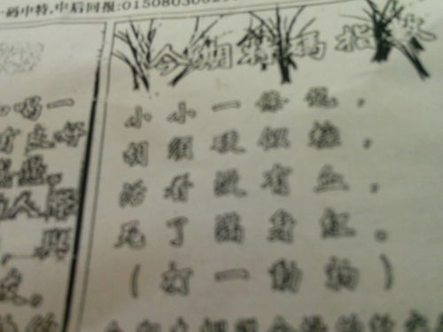 揭秘劉伯溫四肖選一肖的神秘預(yù)測藝術(shù)，劉伯溫四肖選一肖的神秘預(yù)測藝術(shù)揭秘