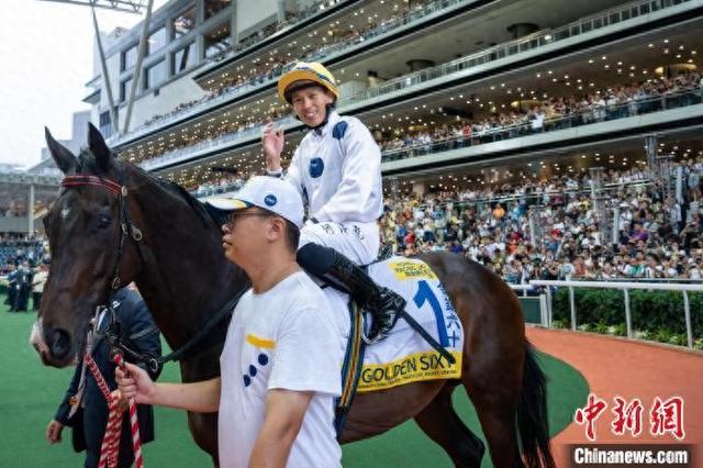 香港特馬王資料免費(fèi)公開，揭秘背后的秘密，香港特馬王資料揭秘，免費(fèi)公開背后的秘密