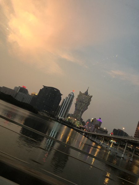 澳門今晚必開一肖一特，深度解析與預(yù)測，澳門今晚生肖特碼深度解析與預(yù)測，一肖一特必開趨勢探討