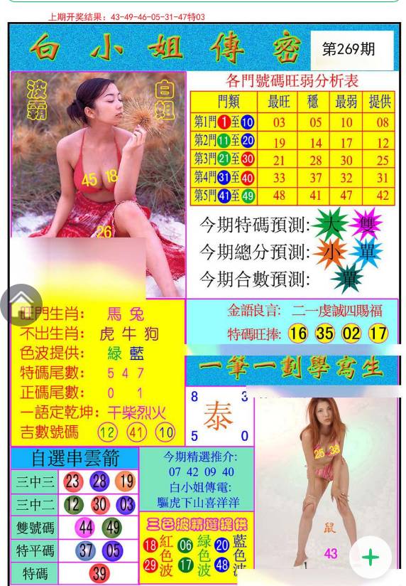 揭秘白小姐與王中王平持一肖的神秘面紗，白小姐與王中王，揭秘神秘生肖預(yù)測面紗