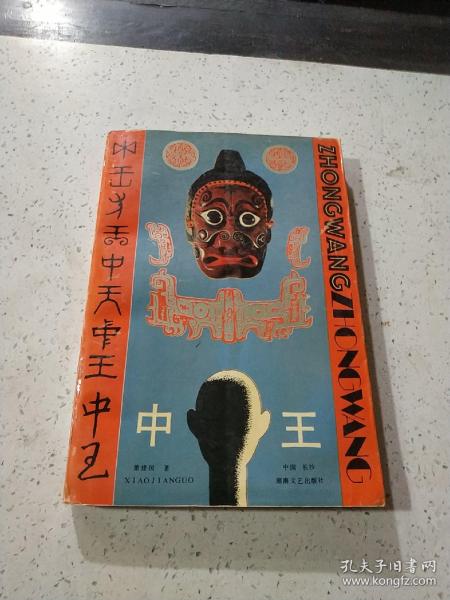 王中王資料與肖中特，深度解析，王中王資料與肖中特深度剖析