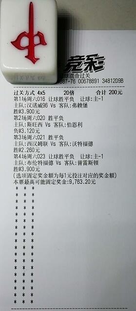 揭秘買(mǎi)一肖中獎(jiǎng)的賠率與風(fēng)險(xiǎn)，你真的準(zhǔn)備好了嗎？，揭秘買(mǎi)一肖中獎(jiǎng)背后的賠率與風(fēng)險(xiǎn)，你真的做好準(zhǔn)備了嗎？