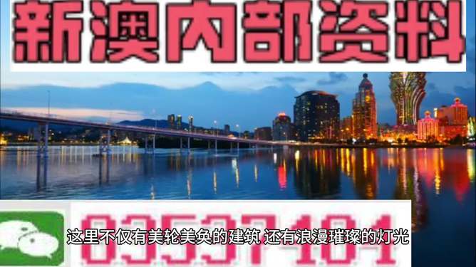 新澳新澳門正版資料，探索與解析，新澳新澳門正版資料深度解析與探索