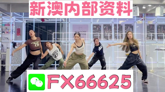 王中王內(nèi)部透肖一肖二碼，深度解析與探索，王中王內(nèi)部透肖一肖二碼深度解析與探索揭秘