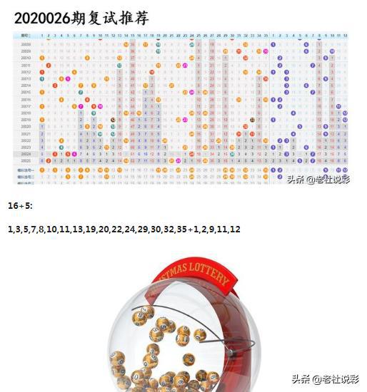 王中王026期指一生肖，深度解讀與SEO優(yōu)化策略，王中王026期生肖深度解讀與SEO優(yōu)化策略全解析