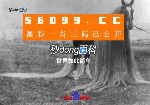 澳門一肖一碼一必中一肖舟山，揭秘彩票秘密，掌握幸運(yùn)之鑰，揭秘彩票秘密，澳門一肖一碼必中秘籍與幸運(yùn)之鑰在舟山開啟