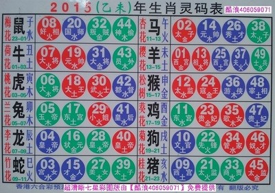 揭秘2025十二生肖與數(shù)字彩票的神奇聯(lián)系——49碼表全解析，揭秘十二生肖與數(shù)字彩票的神秘聯(lián)系，2025年49碼表深度解析