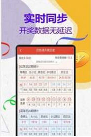 澳門王中王計(jì)劃平特一肖，揭秘與探索，澳門王中王計(jì)劃揭秘，平特一肖的秘密探索