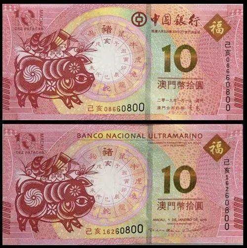 澳門天天彩期期精準十二生肖預測——揭秘彩票背后的秘密，澳門天天彩期期精準十二生肖預測，彩票背后的秘密大揭秘