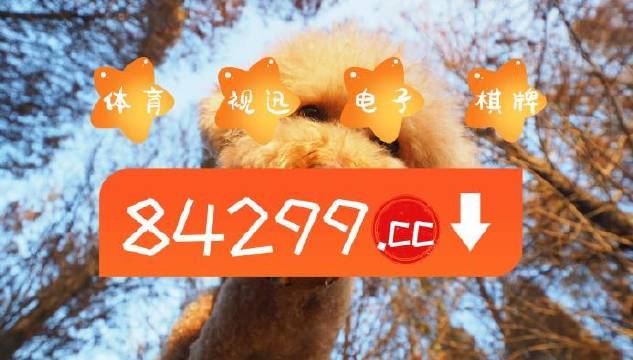 今期必中一肖一碼白小姐，揭秘彩票背后的秘密與策略，揭秘彩票背后的秘密與策略，白小姐今期必中一肖一碼解析
