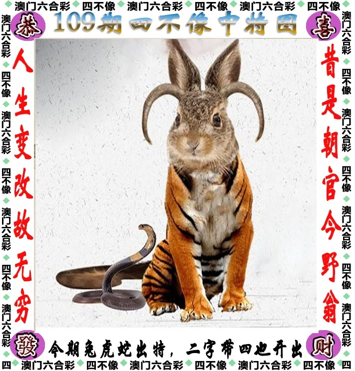 四不像王中王資料一肖，深度解析與探索，四不像王中王資料一肖，深度解析與探索揭秘