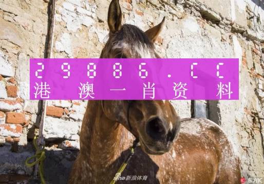 王中王資料一門肖中，深度解析與探索，王中王資料一門肖詳解，深度解析與探索