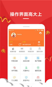 一肖碼王中王，揭秘生肖魅力與數(shù)字密碼的完美結(jié)合，揭秘生肖魅力與數(shù)字密碼的完美融合——一肖碼王中王
