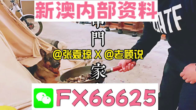 新澳門精準(zhǔn)資料大全，管家婆料解析與探索，澳門精準(zhǔn)資料大全，管家婆料解析與深度探索