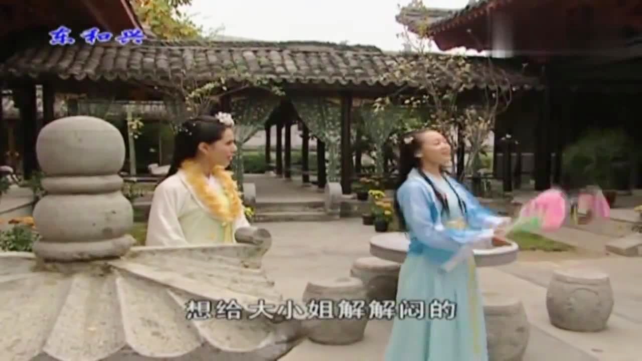 劉伯溫白小姐一肖期期準，神秘預測背后的真相，劉伯溫白小姐生肖預測揭秘，神秘預測背后的真相
