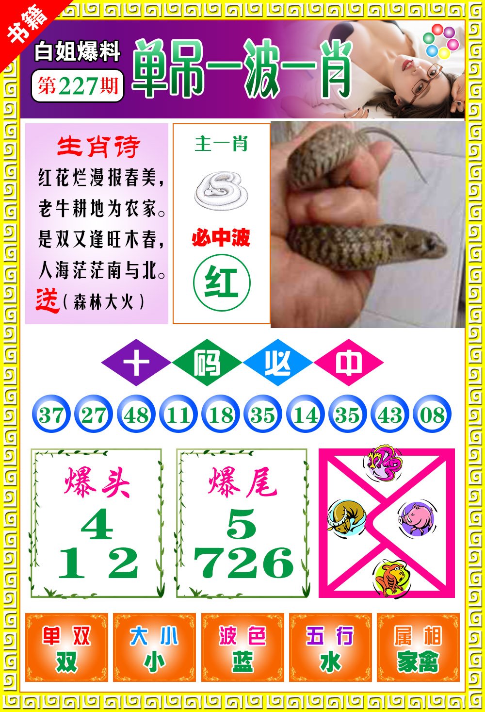 王中王免費(fèi)一肖開獎(jiǎng)，揭秘彩票背后的秘密，揭秘彩票背后的秘密，王中王免費(fèi)一肖開獎(jiǎng)探秘