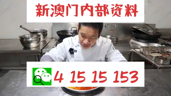 管家婆一肖資料大全，深度解析與探索，管家婆一肖資料深度解析與探索大全