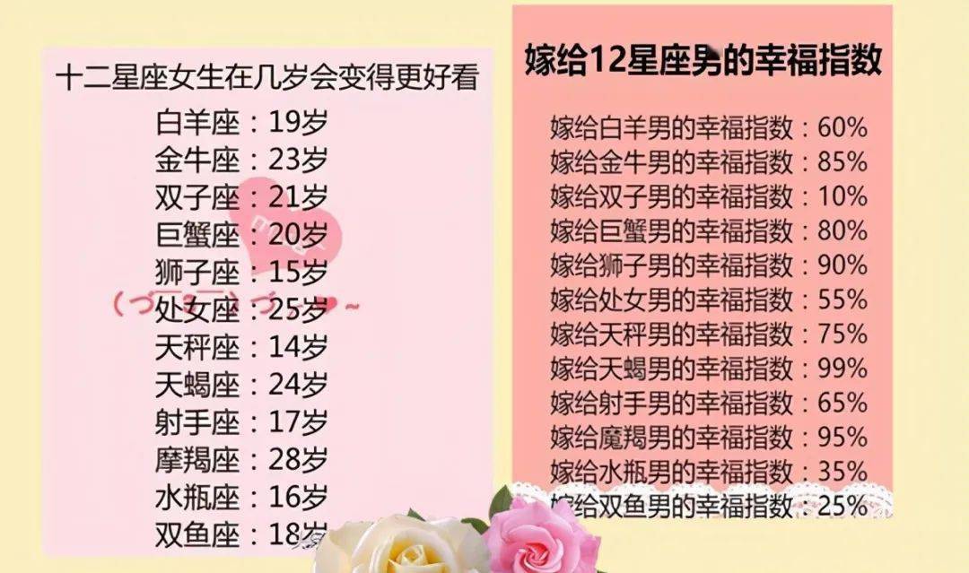 王中王十二生肖所屬之肖解析，王中王十二生肖解析揭秘