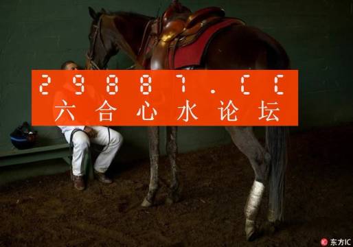 一肖一馬王中王一馬中特，深度解析與SEO優(yōu)化策略，一肖一馬王中王深度解析與SEO優(yōu)化策略探討