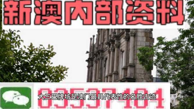 探索澳門未來(lái)，2025新澳門最精準(zhǔn)的發(fā)展方向與芳草地展望，澳門未來(lái)展望，2025精準(zhǔn)發(fā)展方向與芳草地展望的探索