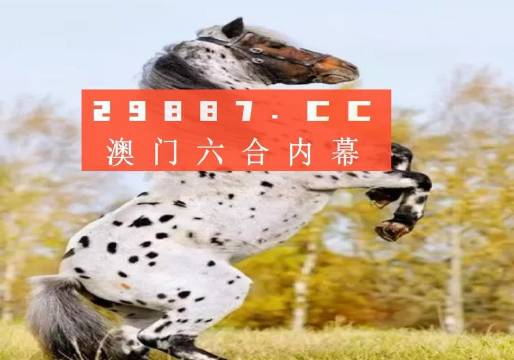 探索澳彩歷史開(kāi)獎(jiǎng)結(jié)果，回顧與預(yù)測(cè)（2023年），回顧與預(yù)測(cè)，澳彩歷史開(kāi)獎(jiǎng)結(jié)果探索（2023年）