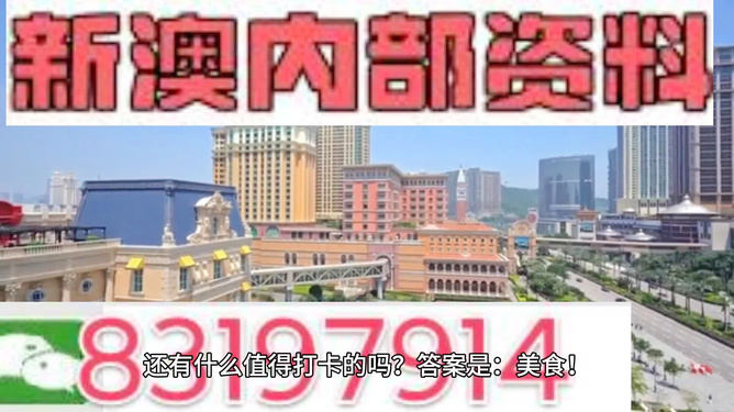 澳門免費精準資料，探索204年的秘密與機遇，澳門204年秘密與機遇探索，免費精準資料揭秘