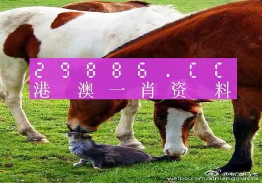 新奧門一肖一碼，揭秘精準(zhǔn)預(yù)測的秘密，揭秘新澳門一肖一碼精準(zhǔn)預(yù)測的秘密