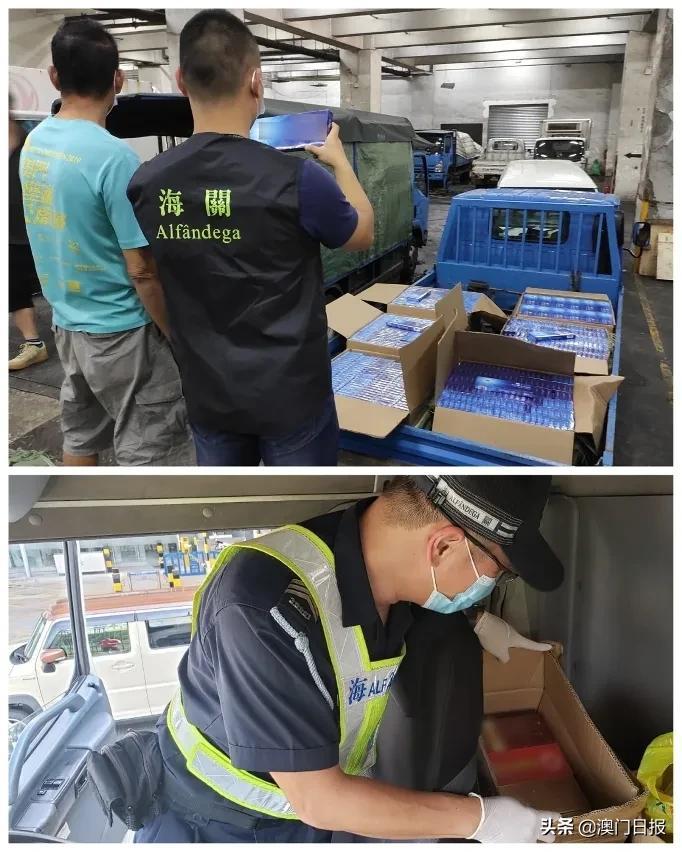 澳門今晚必開一肖080，揭秘生肖運勢與預測之謎，澳門今晚必開一肖揭秘，生肖運勢預測之謎開啟！