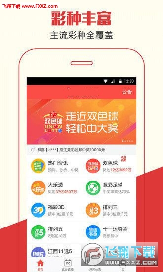 王中王六肖一句贏錢——揭秘彩票背后的秘密與策略，揭秘彩票背后的秘密與策略，王中王六肖一句贏錢之道