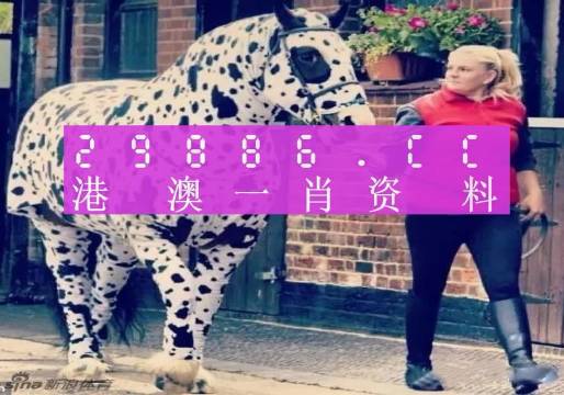 澳彩平肖王中王，一笑一碼的秘密與SEO優(yōu)化策略，澳彩平肖王中王，揭秘一笑一碼背后的SEO優(yōu)化策略