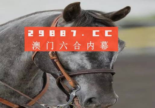 澳門一一碼一特一中準(zhǔn)選今晚，探索真實(shí)有效的選擇與策略，澳門今晚一特一中準(zhǔn)選碼，真實(shí)有效的選擇與策略探索