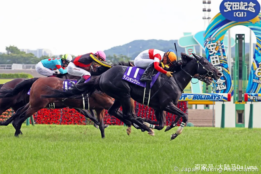 香港王中王與一馬中特肖的獨(dú)特魅力，深度解析與探索，香港王中王與一馬中特肖的獨(dú)特魅力，深度探索與解析