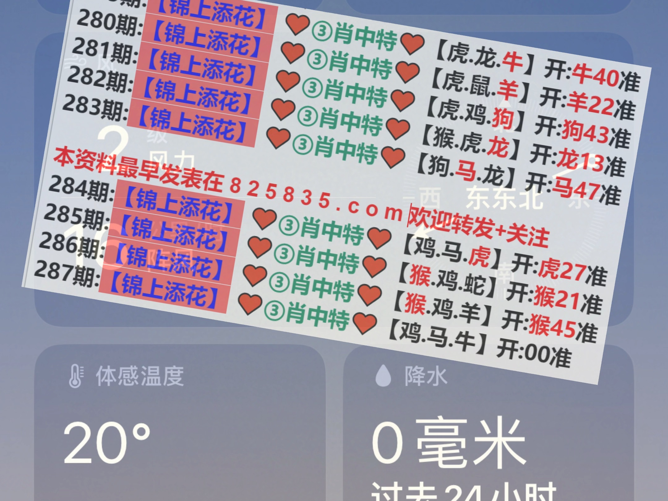 新澳2025年精準(zhǔn)一肖一碼，揭秘預(yù)測背后的秘密，揭秘新澳2025年精準(zhǔn)一肖一碼預(yù)測背后的秘密